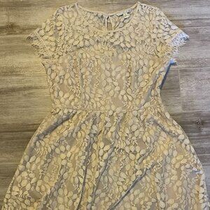 Loran Conrad beige laced dress plus size